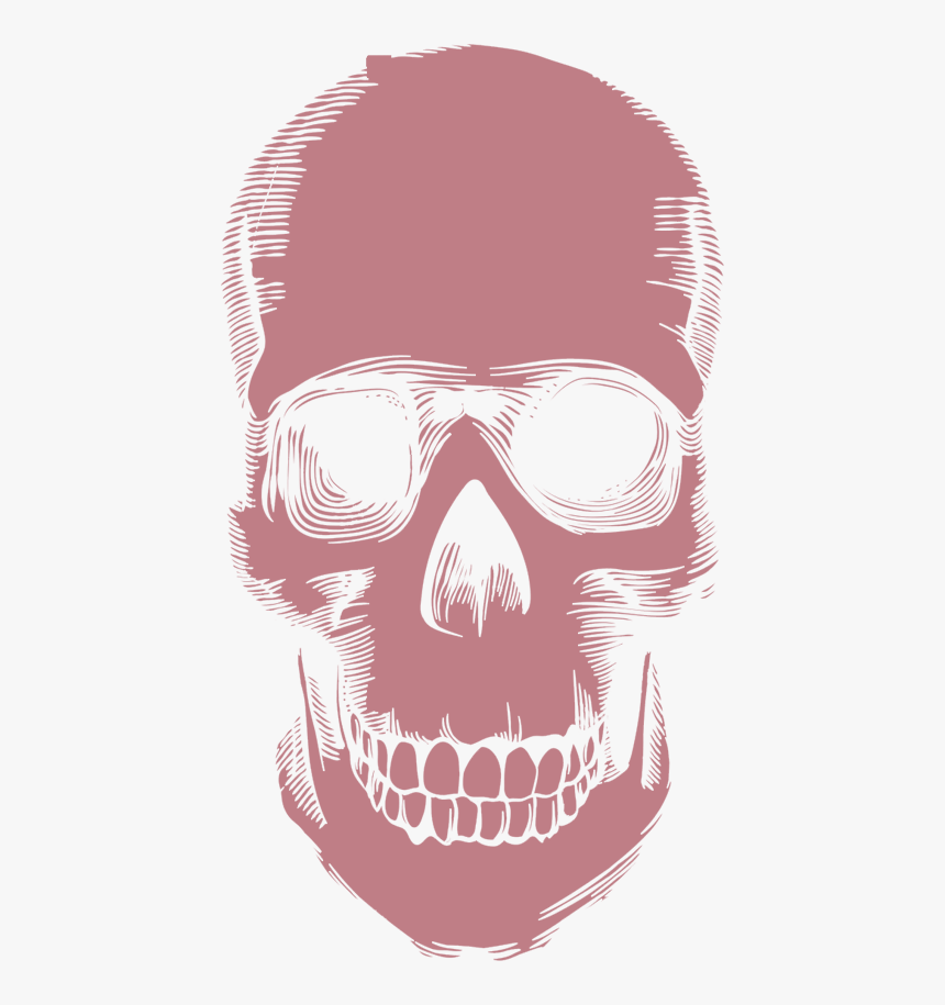 Skull, HD Png Download
