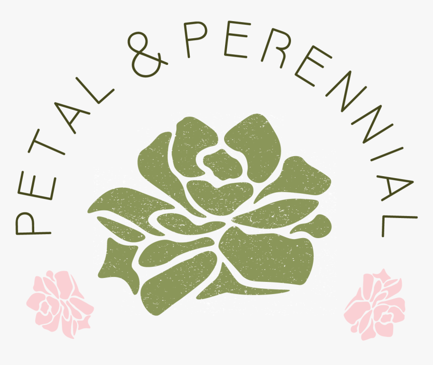 Tagetes Patula, HD Png Download