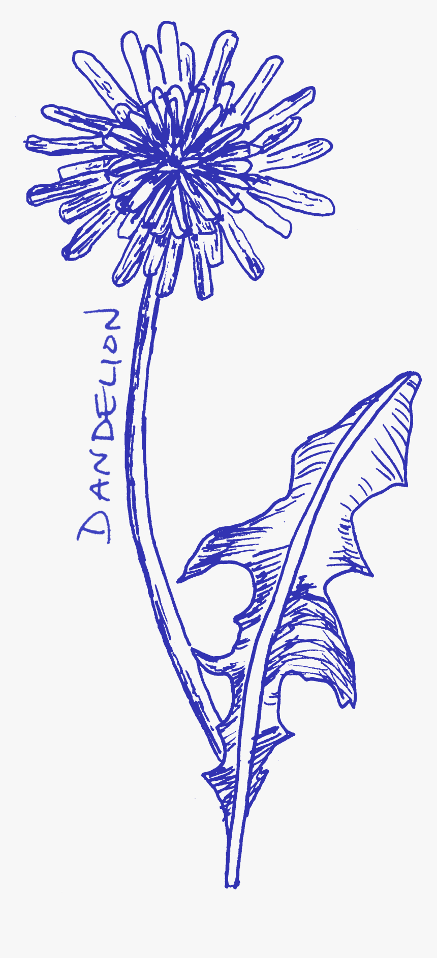 Illustration, HD Png Download