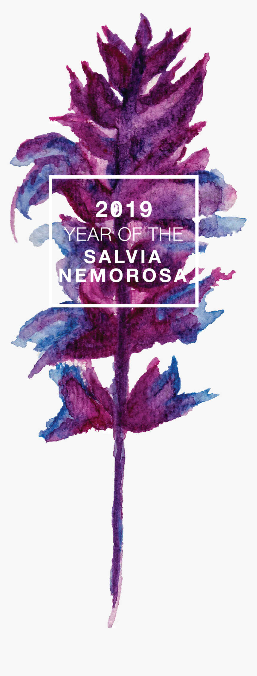 National Garden Bureau 2019, HD Png Download