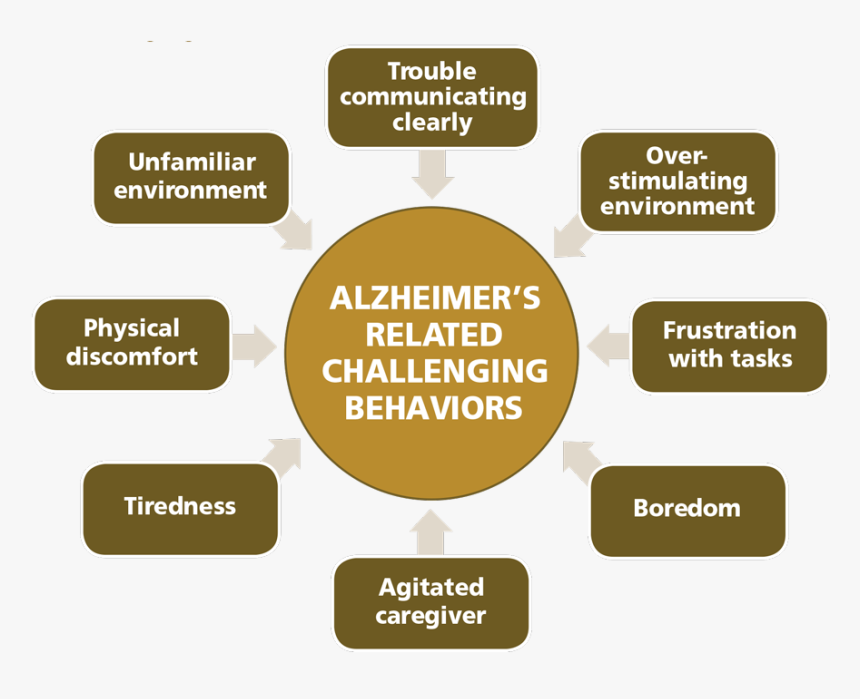 Dementia Support - Supportive Care For Alzheimer's Disease, HD Png Download