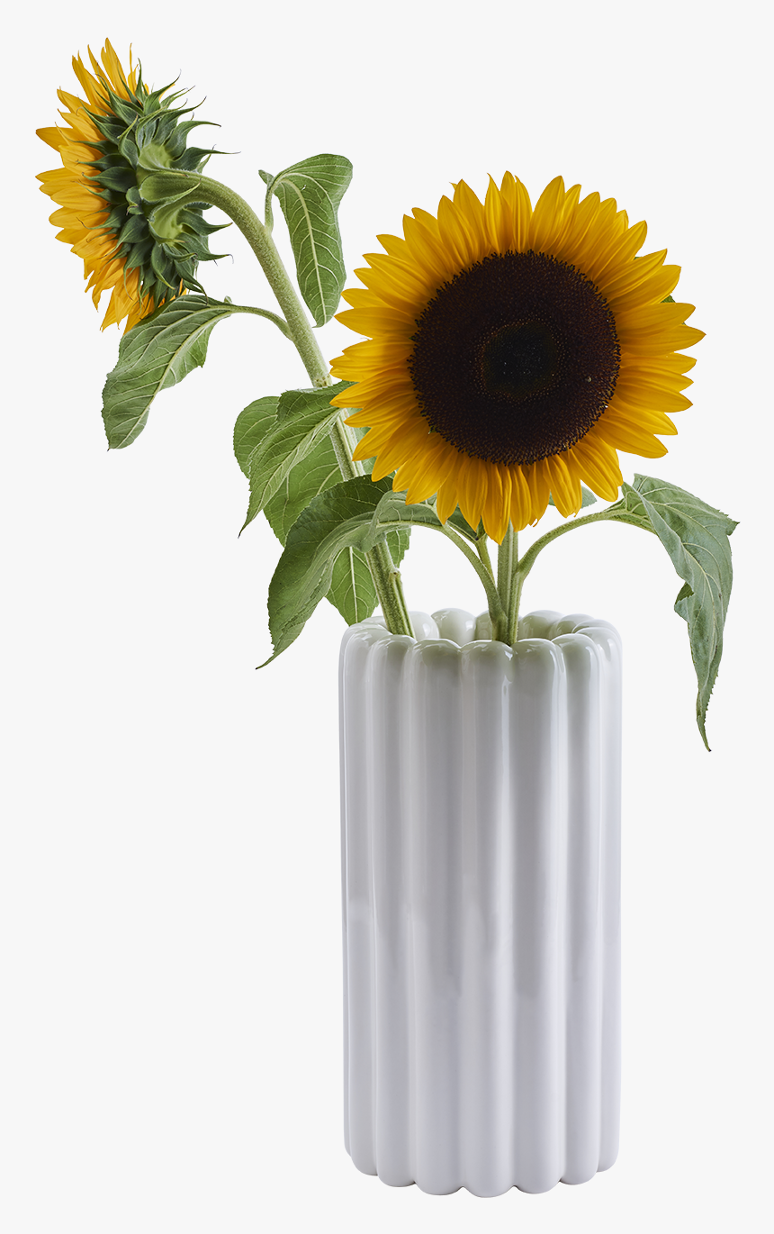 Vase, HD Png Download