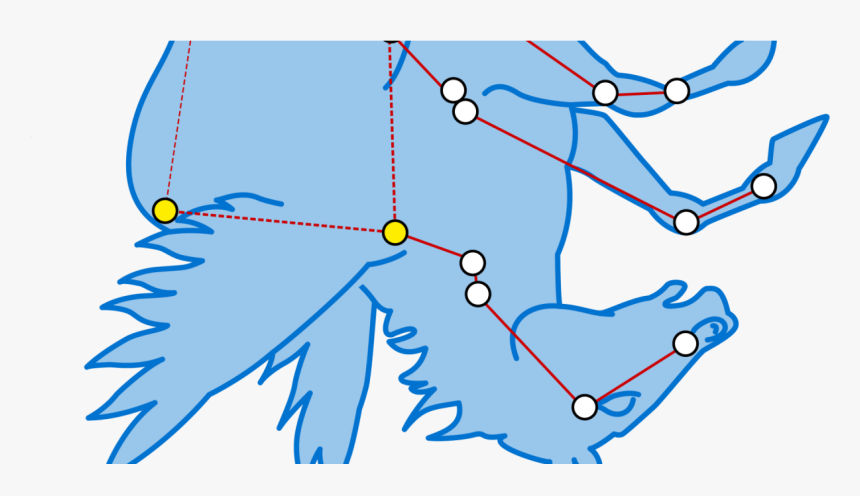 Skies Over Crestone - Dk Findout Constellations, HD Png Download