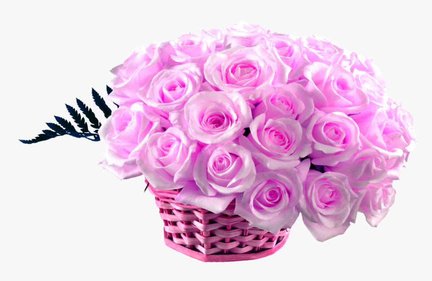 50 Pink Roses Basket - Pink Rose Rose Hd Wallpaper Download, HD Png Download