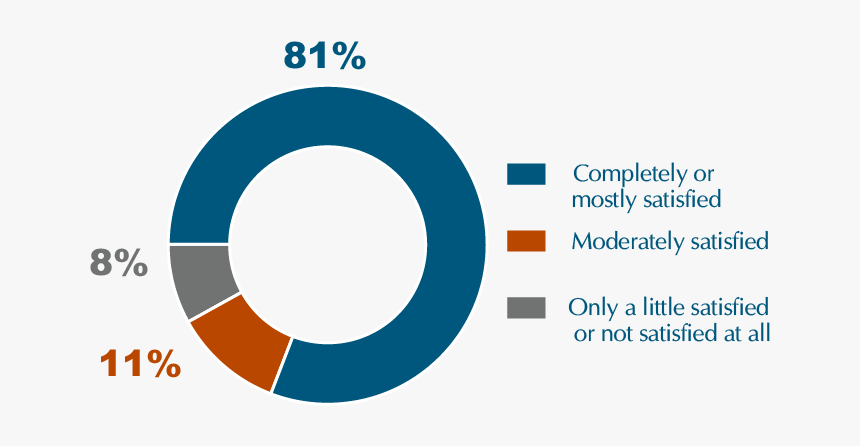Pie Chart Showing That 81 Percent Of Respondents Were - Circle, HD Png Download