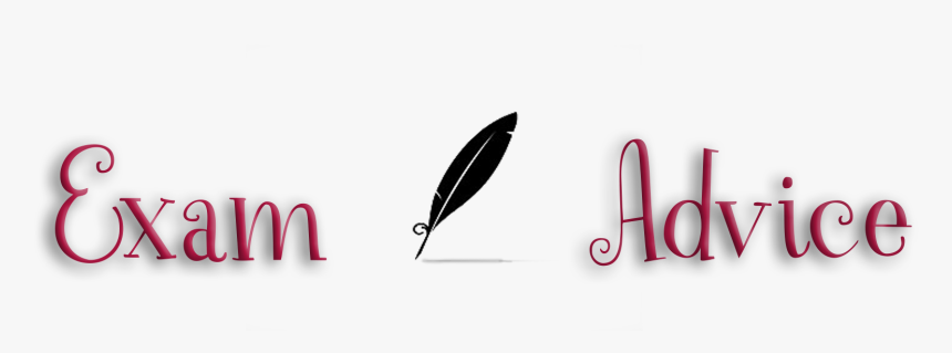 Exam Advice - Feather, HD Png Download