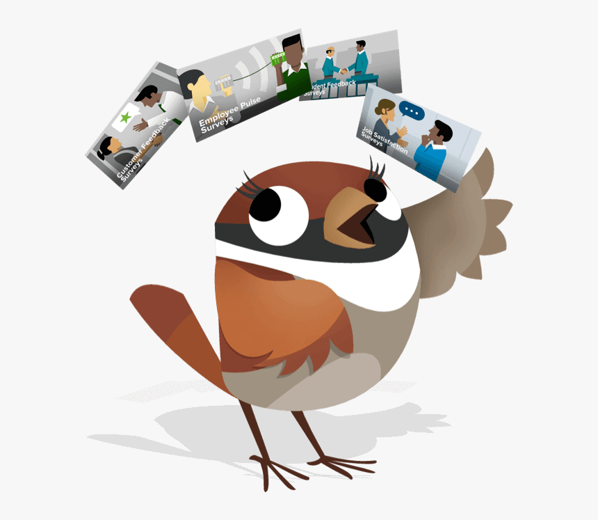 Spin A Student Experience Survey And Understand Their - Cartoon, HD Png Download