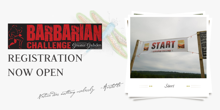 Red Kangaroo, HD Png Download