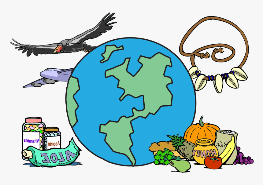 Clipart Of Benefits, Benefit And Biodiversity - Science For The People Drawing, HD Png Download