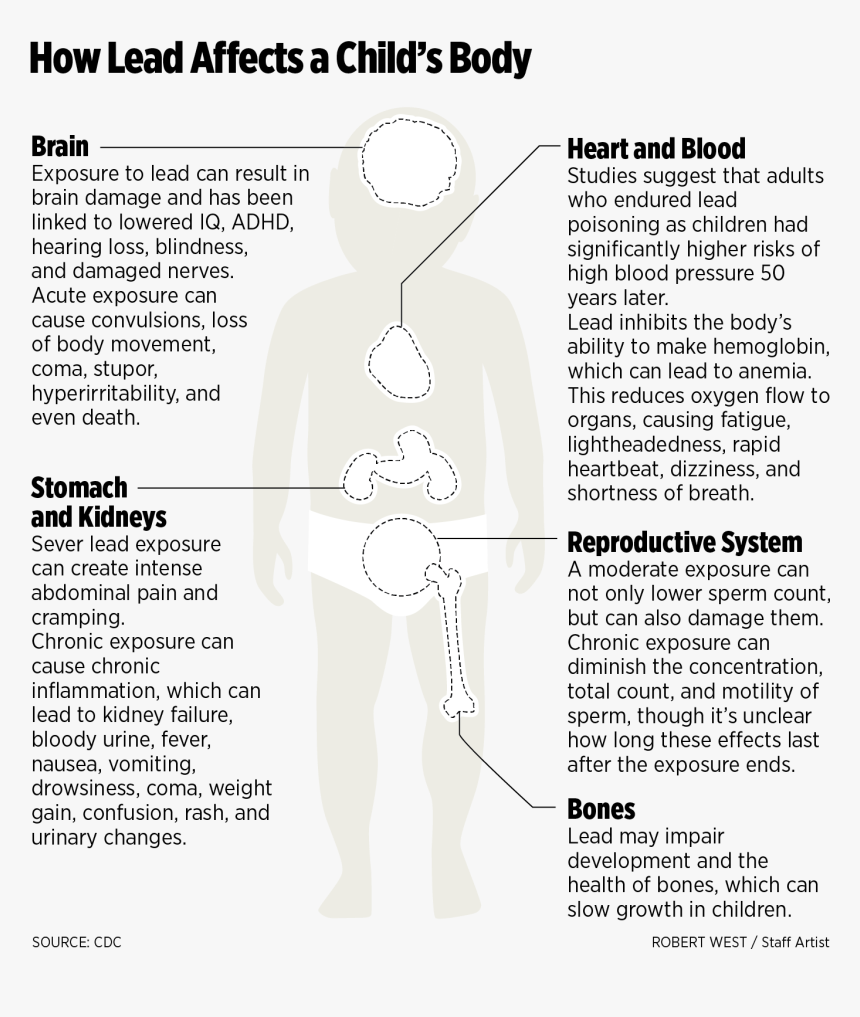 Com On Twitter Lead Poisoning Rash, HD Png Download , Transparent Png