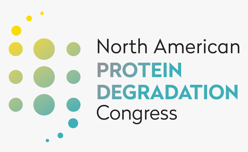 Bbva Compass Stadium, HD Png Download