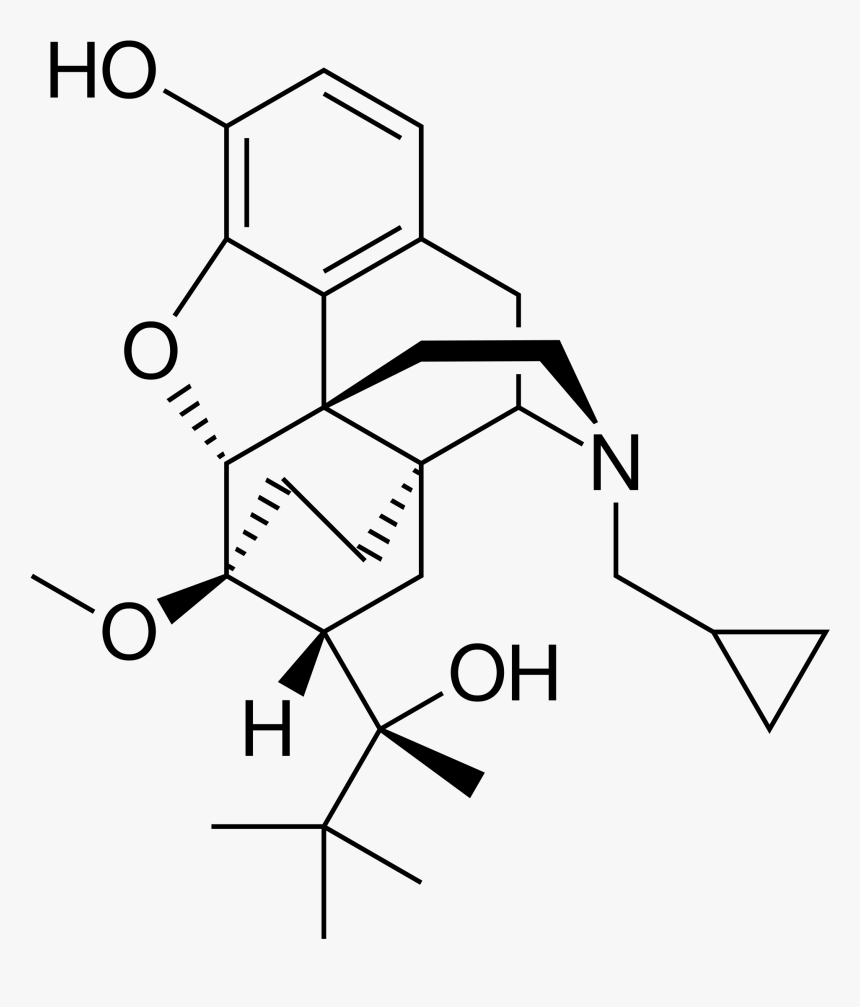 Buprenorphine Vs Morphine, HD Png Download