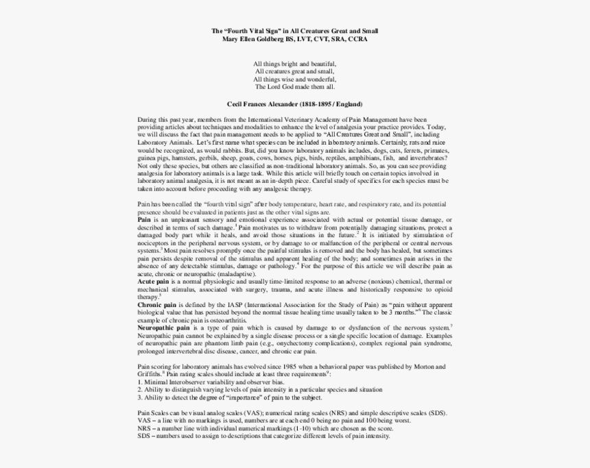 Document, HD Png Download