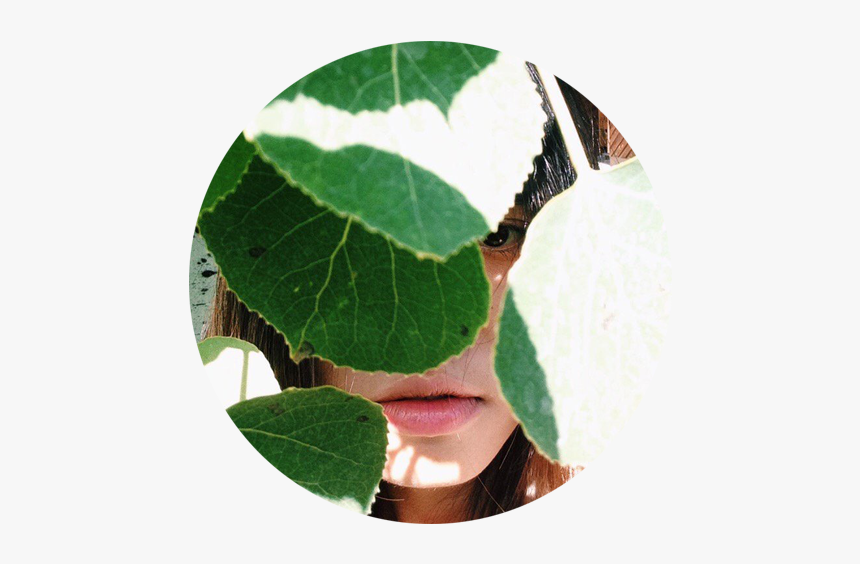 Craft, HD Png Download