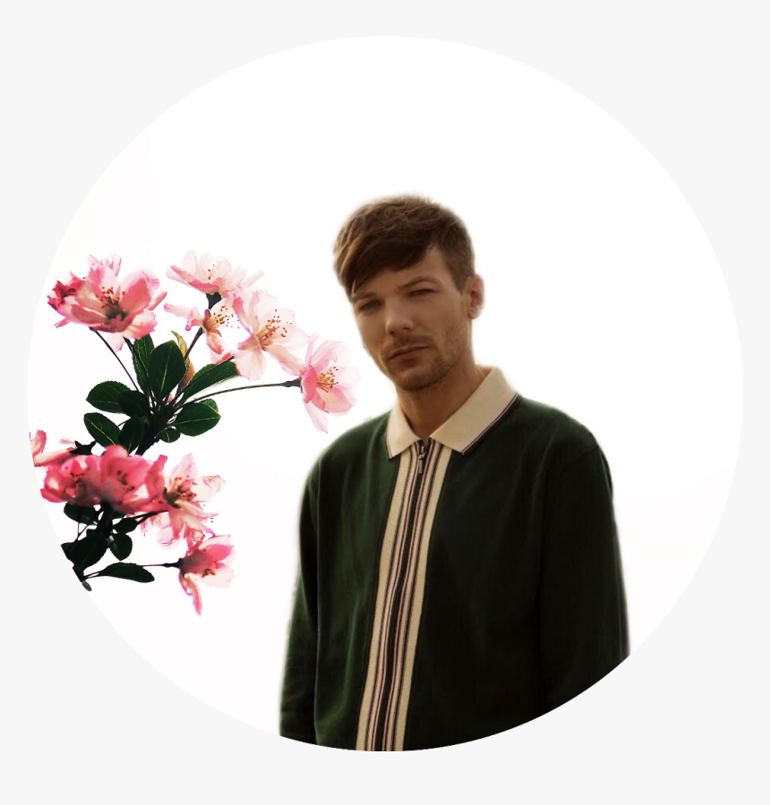 One Direction Clipart Louis Tomlinson - Louis Tomlinson, HD Png Download