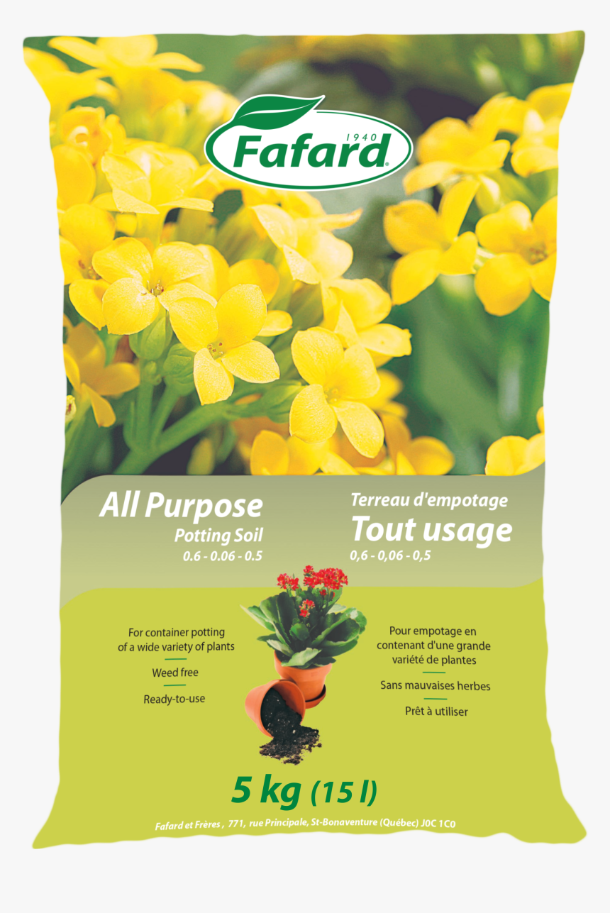 Terre Fafard, HD Png Download