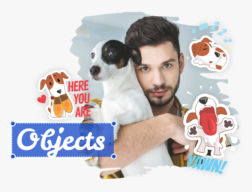 Holding A Jack Russell Terrier, HD Png Download