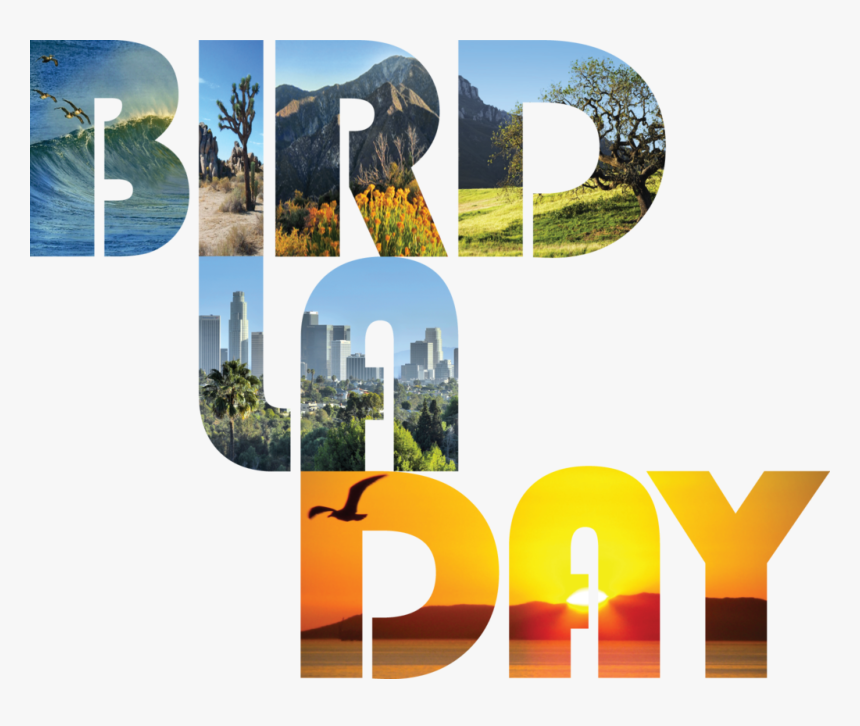 Union Square Anniversary, Concerts, Garden Party, Bird - Graphic Design, HD Png Download