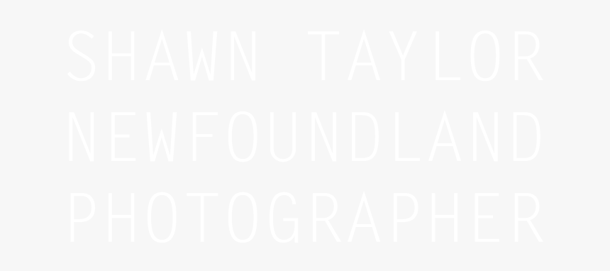 Picture - Hyatt White Logo Png, Transparent Png