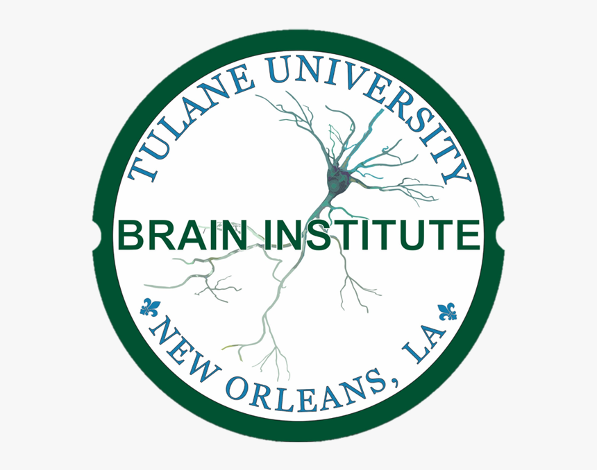Tulane Brain Institute Logo, HD Png Download