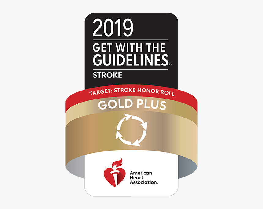 2019 Get With The Guidelines® Stroke - 2017 Get With The Guidelines Stroke, HD Png Download