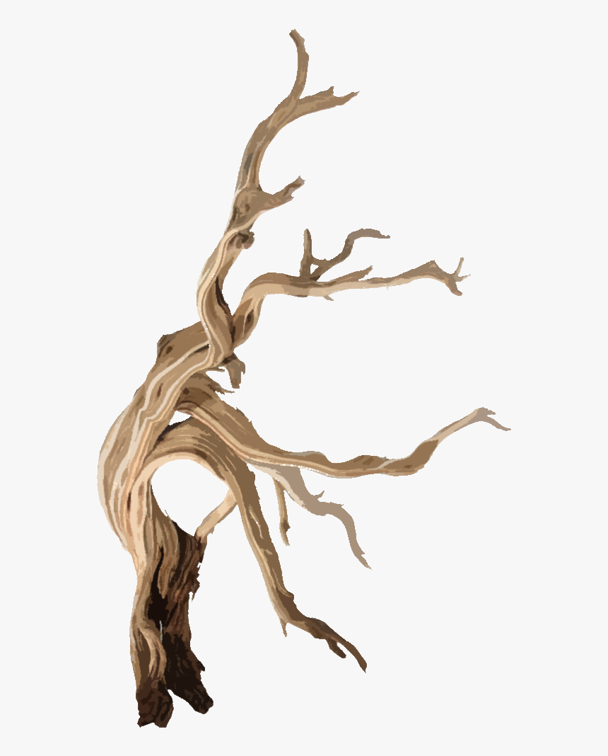 Wooden Branch Decor Png, Transparent Png