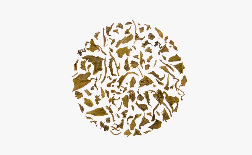 Circle, HD Png Download