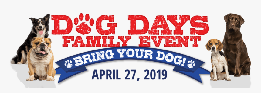 Cabela's Dog Days, HD Png Download