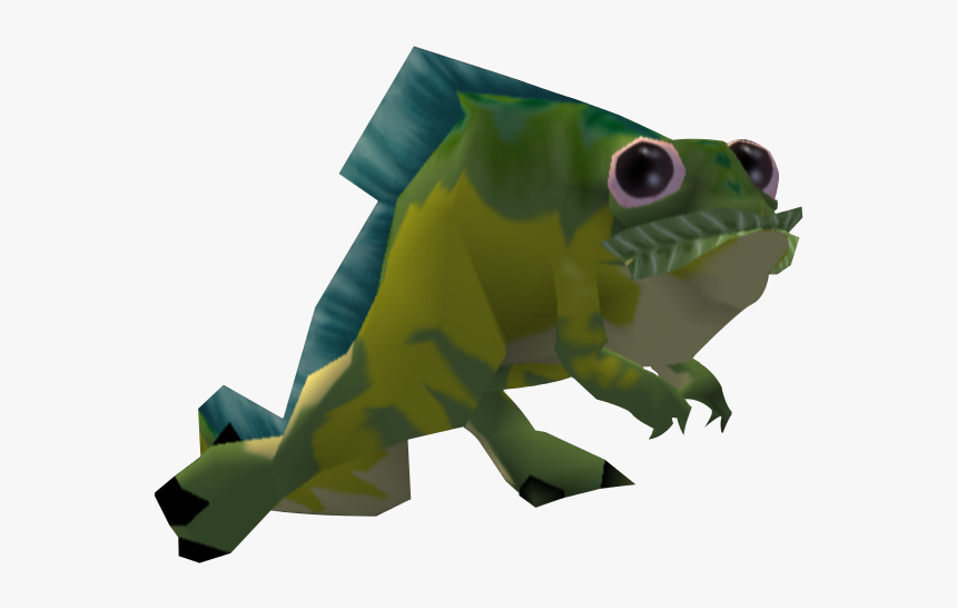 Toad, HD Png Download