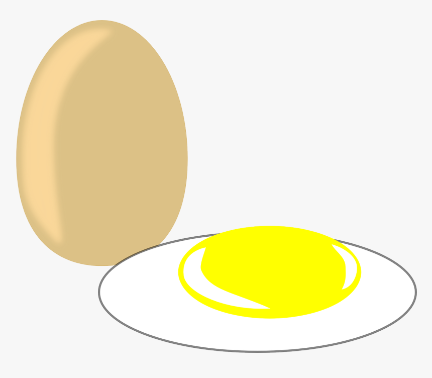 Circle, HD Png Download
