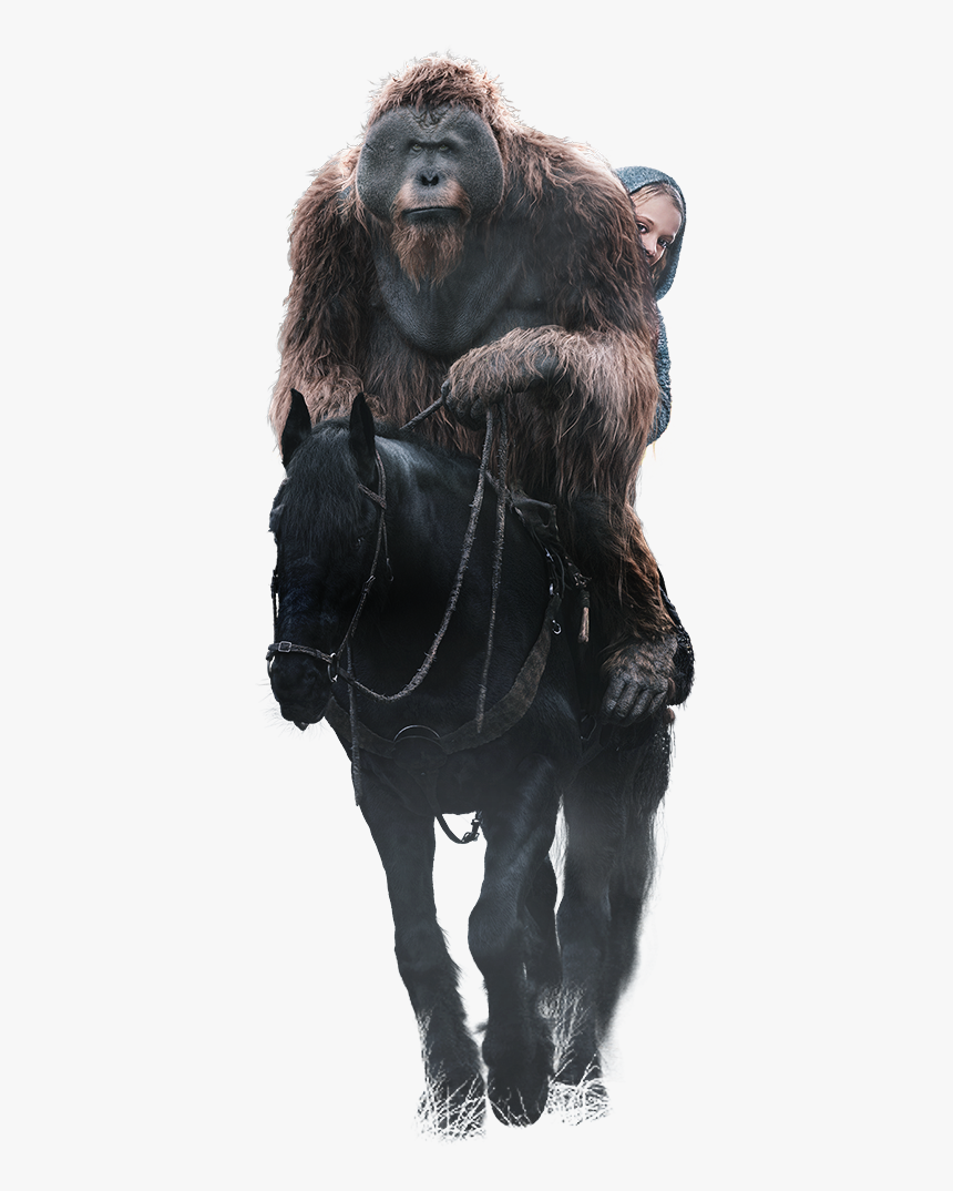 Mane, HD Png Download