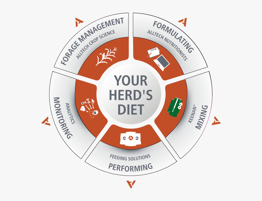 Stages Of Clinical Evaluation, HD Png Download