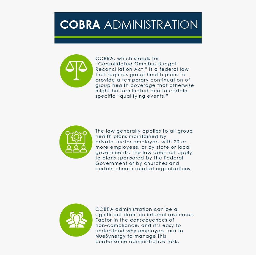 Cobra - Section 125 Premium Only Plan Document Sample, HD Png Download