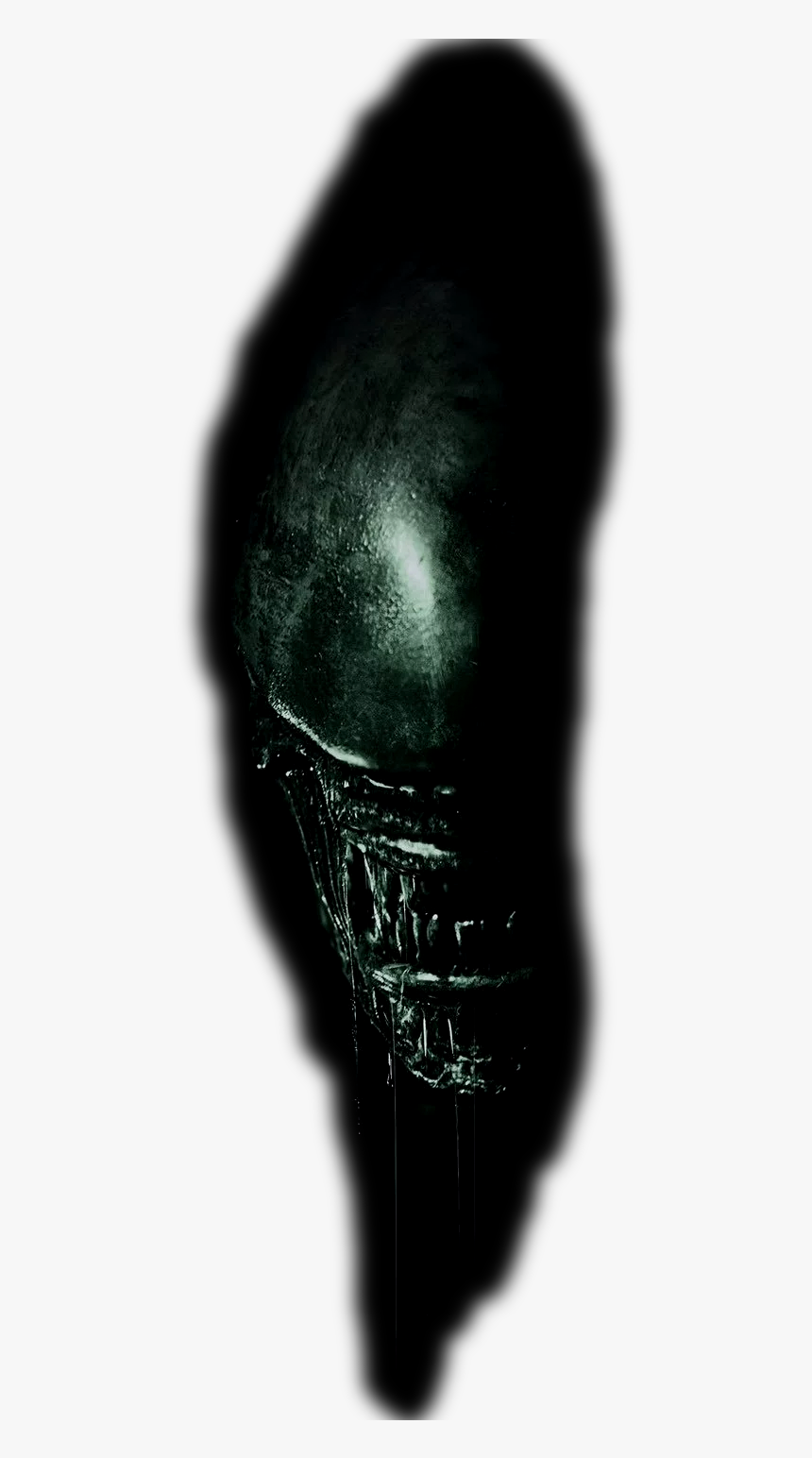 Macro Photography, HD Png Download