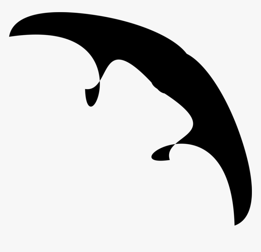 Dolphins And Porpoises, HD Png Download