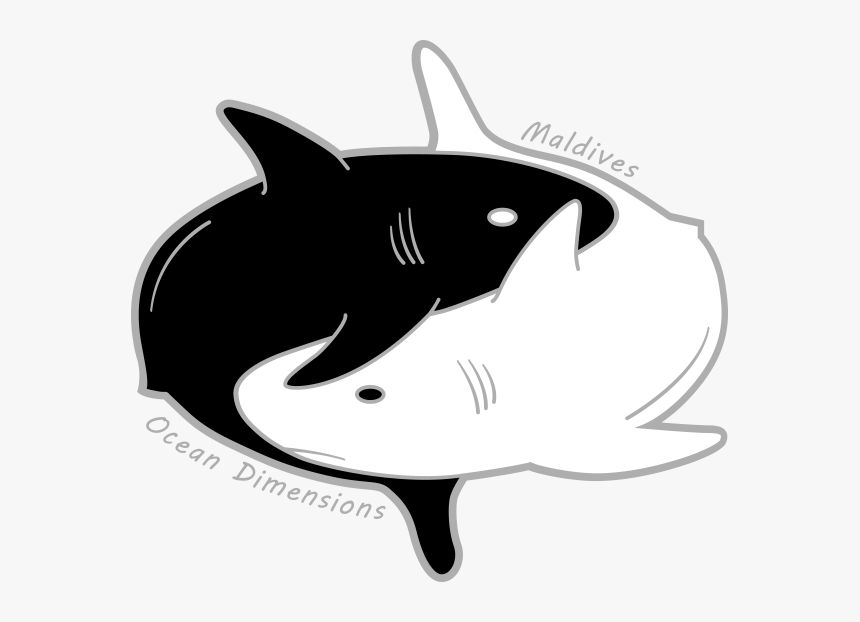 Ocean Dimensions Maldives - Great White Shark, HD Png Download