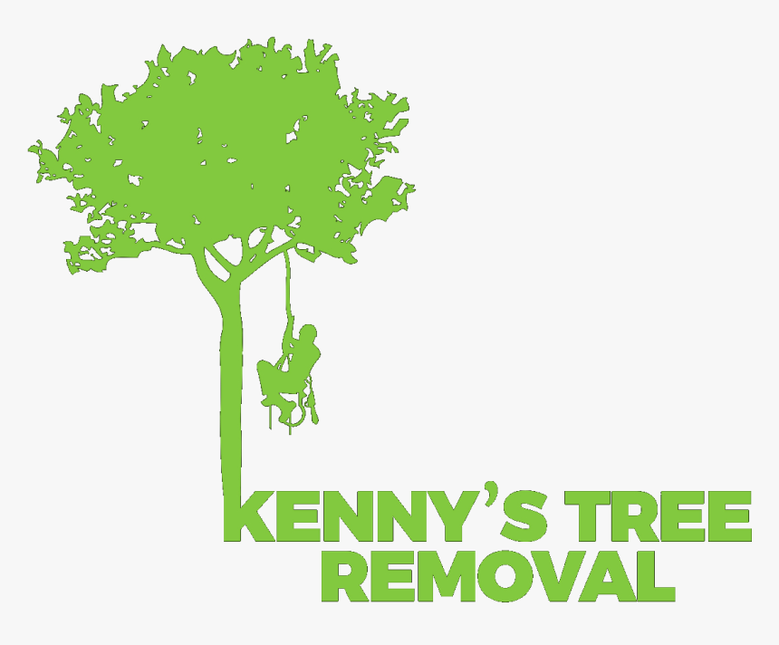 Kenny S Tree Removal, Llc - Tree, HD Png Download