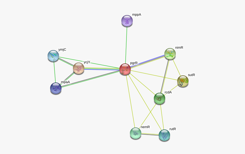 Pgrr Protein - Circle, HD Png Download