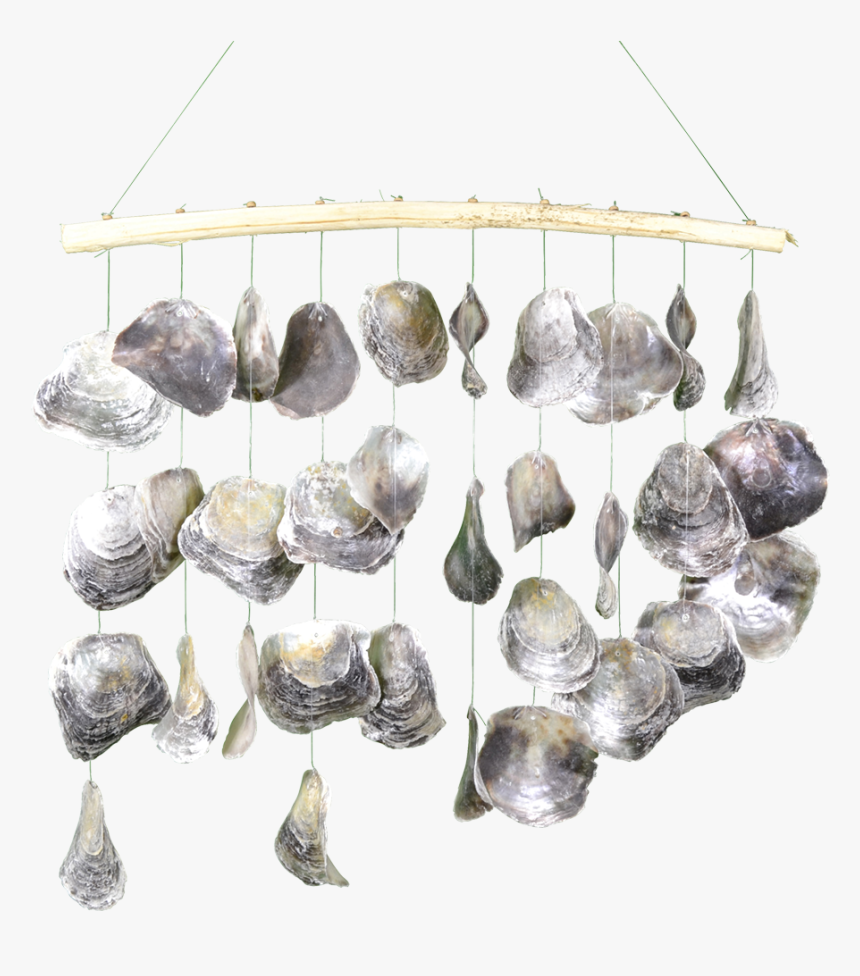 Window Curtain -placuna - Earrings, HD Png Download