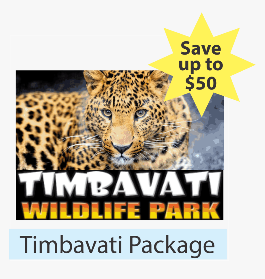 Package - Timbavati - Leopard 4k Wallpapers 16 9, HD Png Download