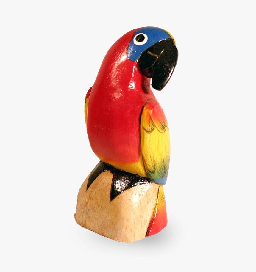Transparent Mofongo Png - Macaw, Png Download
