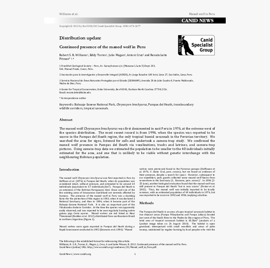 Never, HD Png Download