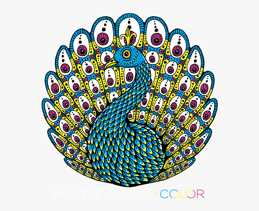 Circle, HD Png Download