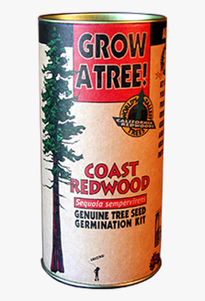 Coast Redwood Grow A Tree Kit - Beer, HD Png Download
