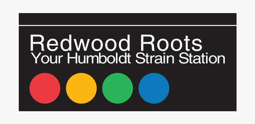Redwood Roots - Circle, HD Png Download