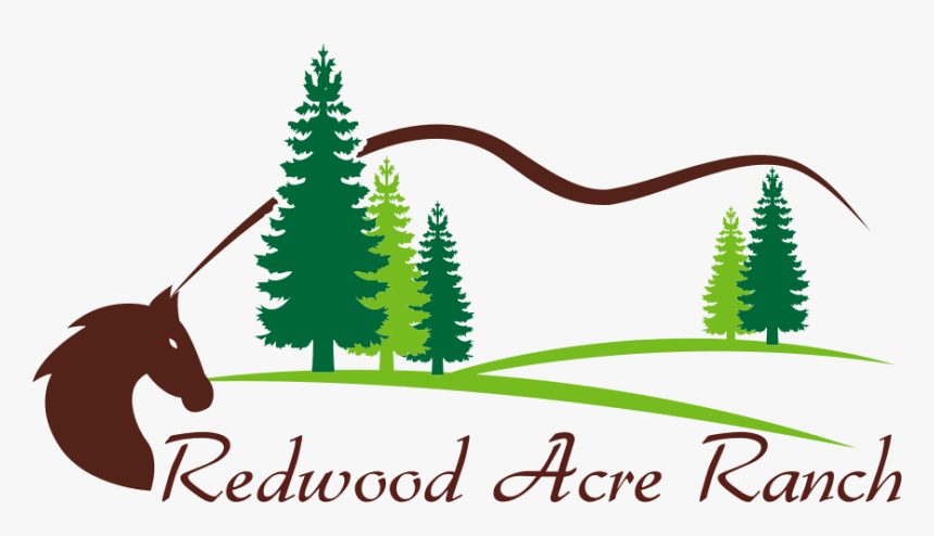 Picture - North West Forest Services, HD Png Download