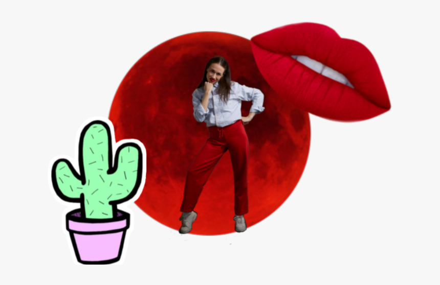 #miranda #mirandasings - Cactus, HD Png Download