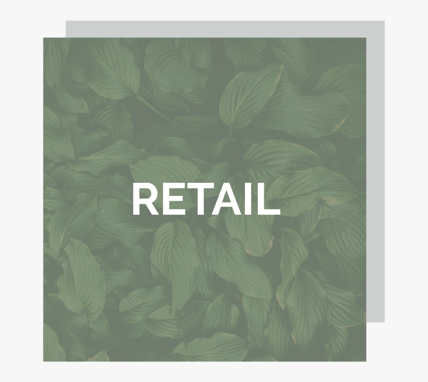 Web Pillar-19 - Rainforest, HD Png Download