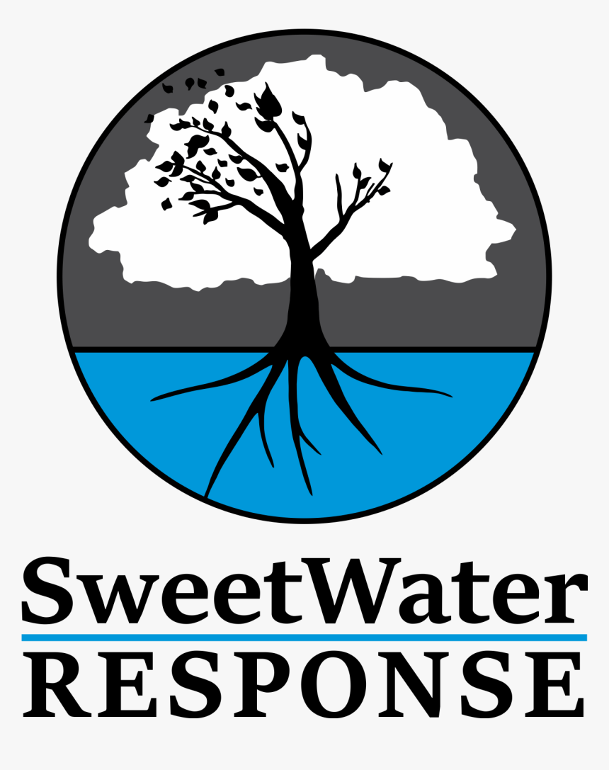 Image - Tree, HD Png Download