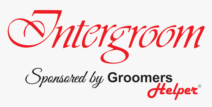 19 Png, Transparent Png